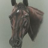 Horse portrait by Equine pastel painter Artist Marina Haycroft